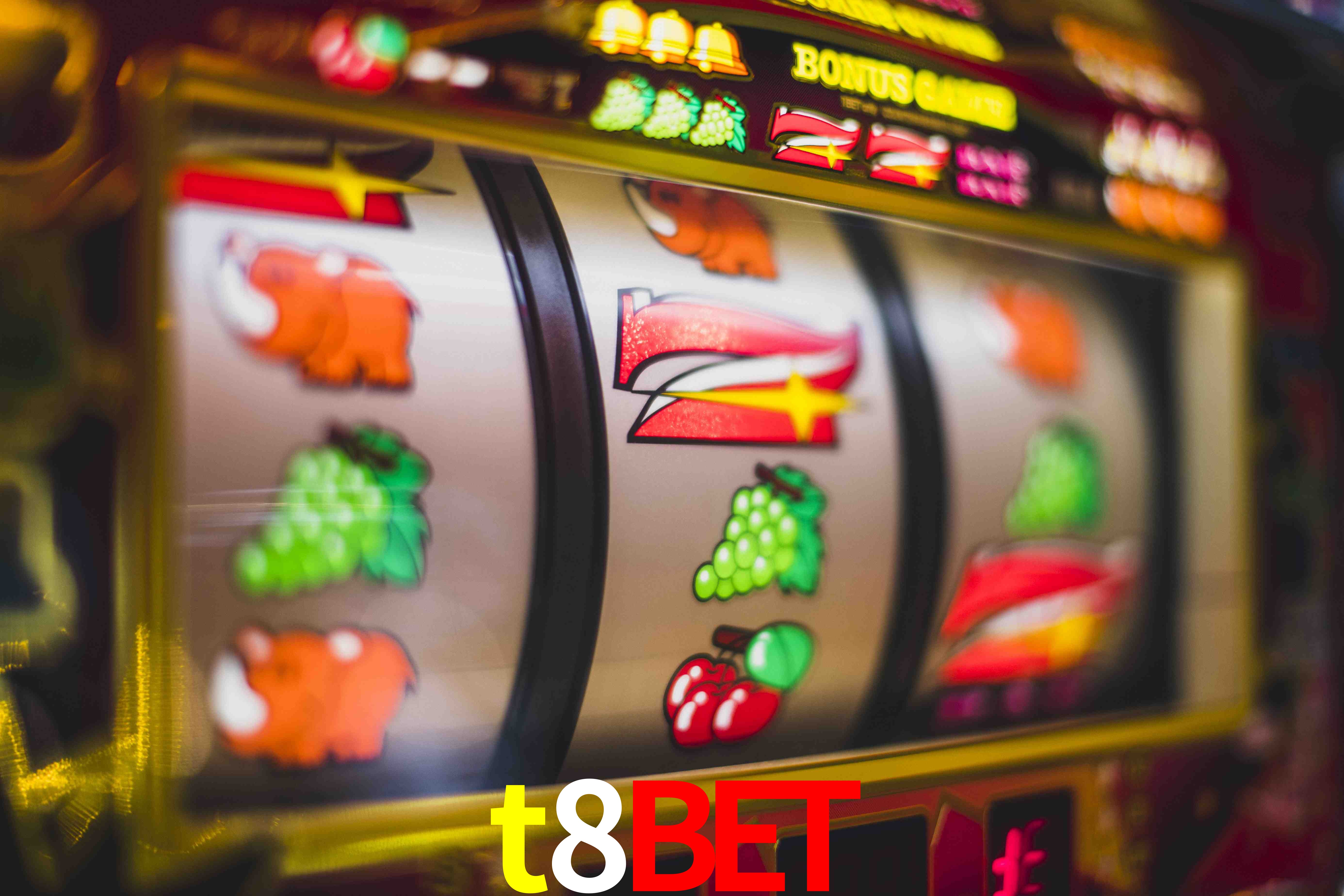 Live Casino t8bet